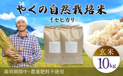 ys{mRszߘa7NY ₭̎R͔| CZqJ 10kg  / R͔| R͔|  R   CZqJ Ђ  ͂ ₭ v s{ mRs FCEV010