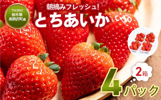 yȖ،򒬁zƂ4pbN2 |   C`S Ƃ t[c XC[c fU[g lC Yn Yi Ȗ، 򒬁@2026N1{`4{ɏ\ 