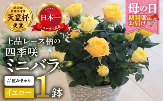 y򕌌{szy̓z~jo CG[ A [X Yn i킨܂ ̂ 󂠂 [57`10 ͂] lG炫  K[fjO Y { Vct  z