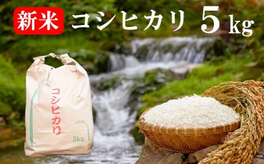 yRxm쒬zyʌzyRYzsVātRVqJ T@Ђ    FʑI CX R ܂Ȃ xm쒬 N