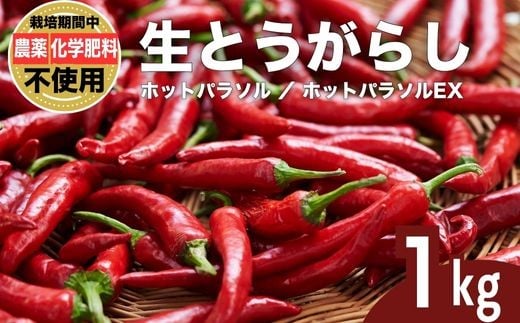 yL|szƂ炵 hq zbgp\EX 1kg ͔|Ԕ_sgp w엿sgp ܕsgp L@엿gp |Y Obh\CO[v