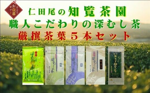 yBsz129-03-2 yΕɁzm[ނ t5{Zbg