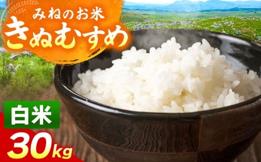 yRIszߘa7NxY ʂނ  30kg b      G  R P ʂނ   R I Hg