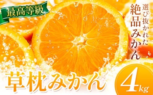 yF{ʓz݂ 4kg s11{-12{oׁtF{ ʖS ʓ t[c k ݂ ~J  fU[g 