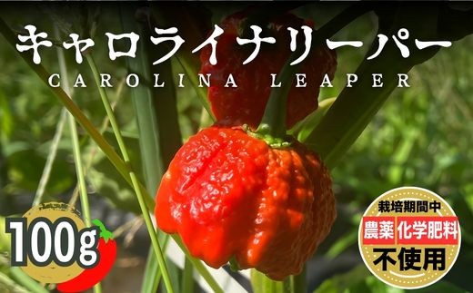 yL|szLCi[p[ 100gb Ƃ炵 hq Ƃ炵 h h h ͔|Ԕ_sgp w엿sgp ܕsgp L@엿gp |Y Obh\CO[