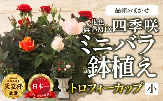 y򕌌{szYn ~jo gtB[Jbvij iZMIXj [11`4 ͂] i ܂ ̂ 󂠂 A lG炫 ~jo  K[fjO Y {