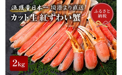 y挧zyIZuzJbgg킢I2kg