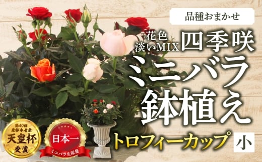 y򕌌{szYn ~jo gtB[Jbvij ӂiWMIXj [11`4 ͂] i ܂ ̂ 󂠂 A lG炫 ~jo  K[fjO Y {