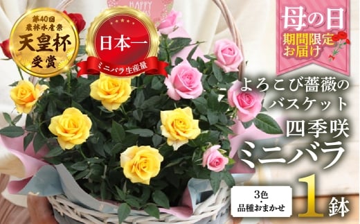 y򕌌{szy̓z~jo oXPbg 낱 Yn ԐF i킨܂ ̂ 󂠂 [57`10 ͂] lG炫  bh sN CG[ K[fjO Y {