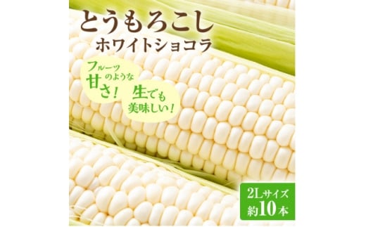 ykCxǖsz2026NstxǖYzCgƂ낱@zCgVRv10{y1678459z