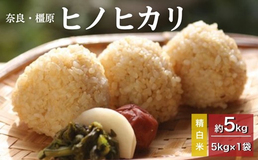 yޗǌszyVāzޗǁE@_≻w엿sgpyߘa7NYzqmqJyāz5kgi5kg×1܁j