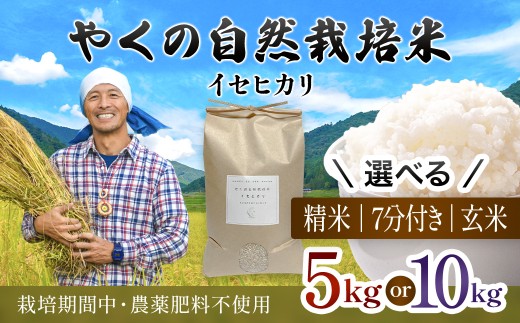 ys{mRszߘa7NY ₭̎R͔| CZqJ iIׂ鐸ĕ@EeʁFāE7ÂE / 5kgE10kg j  / R͔| R͔|  R   7Â   CZ