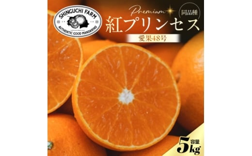 yQlszgvZXƓi큄uÕ×܂ǂȁv485kgsVitƒpG70-85y1633356z