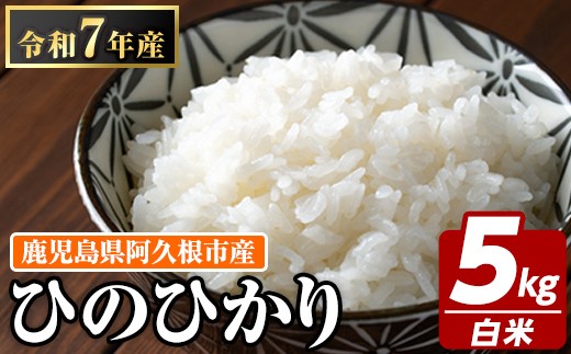 yvszŶ Ђ̂Ђ(v5kg) Y  А   ɂ ٓ Ђ̂ЂyJt@[zakn064-03