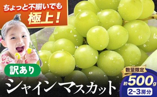 y{HgszVC 󂠂 VC}XJbg 500g s2026N8{-{oׁt󂠂 VC}XJbg }XJbg Ԃǂ t[c ʕ { Hgs VC Hׂ