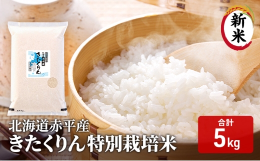 ykCԕszkCԕY  5kg ʍ͔|   kC  ӂ邳Ɣ[