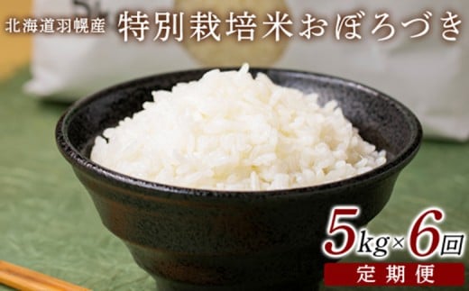 【北海道羽幌町】【2025年産】 【定期便:6回】 北海道羽幌産 特別栽培米 おぼろづき5kg | 5キロ 計30kg 計30キロ 米  定期 6回 美味しいお米 強い粘り 安心 安全 北海道米 ふるさと納税 北海道