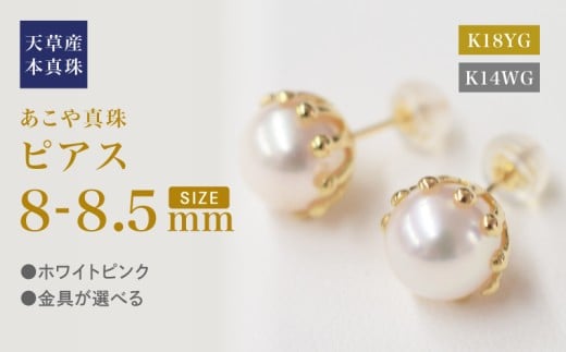 yF{VszS101-429-sku_^ V F{ sAX ~NNE 8mm - 8.5mm M Ԍ^ Ԃт zCgsN