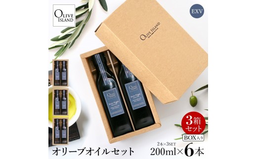 y쌧zGLXgo[WiEXVjI[uIC2{Mtg 3Zbgi200ml×2{×3j