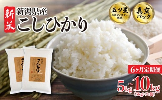 yVVcszyցz6 RVqJ ^pbN Iׂ 5kg 10kg ߘa7NY  V ܂ă}CX^[ V VY VcY RVqJ ~  h ۑ AEghA