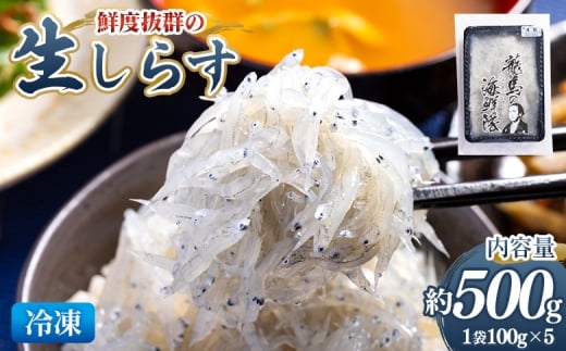 【高知県香南市】鮮度抜群の生しらす 100g×5袋 - 国産 生食 小分けパック 海鮮 新鮮 そのまま 魚介 釜揚げしらす しらす丼 海鮮丼 ご飯のお供 お取り寄せ 産地直送 竜馬 龍馬の海鮮隊 野島水