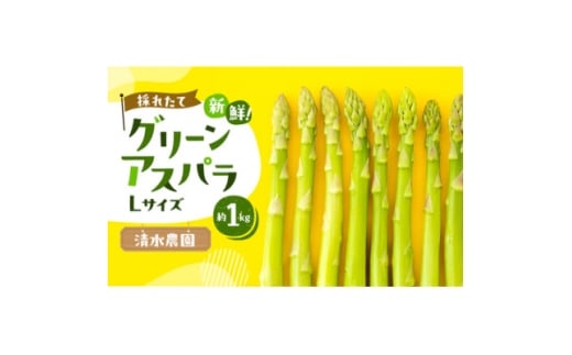 ykCxǖsz2026Ns\@ӂ̎YO[AXpLTCYv1kgy1675382z