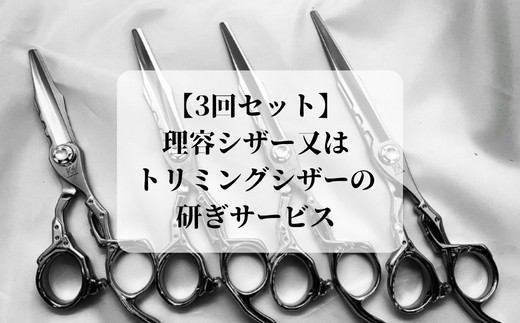 ytPJszyO[}EX3ZbgzeVU[̓g~OVU[̌T[rX