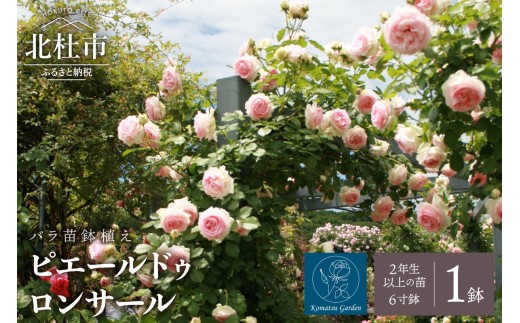 sd1_8eafcf70bd49bcc5850b26c879