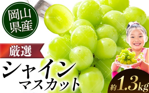 2026年発送分】厳選 シャインマスカット 約1.3kg (2-3房)《9月上旬-11