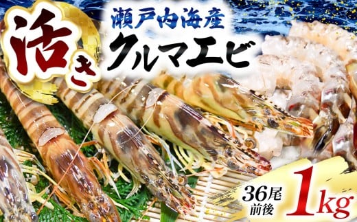 yRzy ͂тTOOȏ I z y zBw\ z ˓CY N}Gr1s  b   N}Gr ܂ ԊCV Gr  CV NxQ zBw\ 