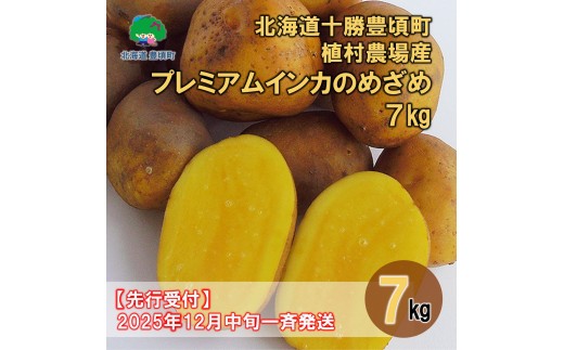 ykCLzkC\L A_Y v~ACĴ߂7kgystzi2025N12{ ①ւł͂j