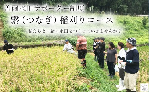 yޗǌ]z] cT|[^[x qiȂjR[X ?( 2026Nx\ݗp ) // cڃI[i[ ăI[i[ iϕی č c  𗬉 3kg ̌ o