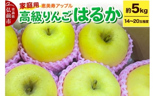 yXOOszy25N12`z y񂲁E͂邩z͂邩 5kg yƒpz X t[c ʕ