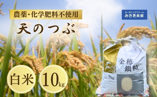 y쑊nszV̂  10kg ߘa7NY | _ _sgp w엿sgp    Y Y 쑊n ݂