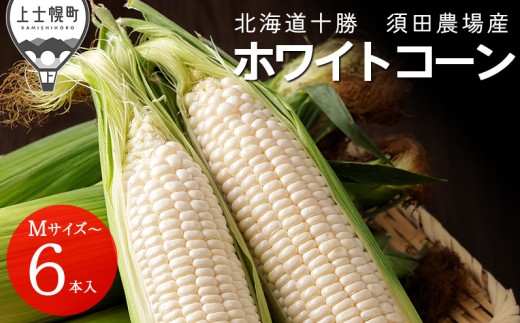 ykCmyz2026N s\ kCY zCgR[ v10{ kC my {c_   XC[gR[ Ƃ낱 gERV Yn ① 2026N08z\