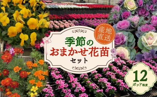 ytsz G߂̂C ԕcZbg 12|bg x  A c Zbg  t[ K[fjO  | Ԓd 񂹐A S   G ӏ CeA  LO Mt