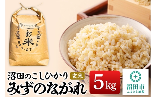 yQncszߘa7NY V ĉЂû݂ȂvQncsY  5kg RVqJ