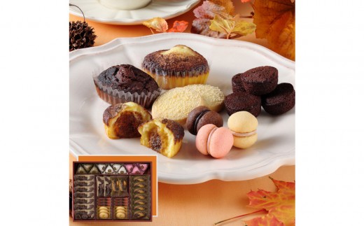 yɌ{szyGߌzV[L[ueB~XEt@^WX^@L@CAS(TF)-50