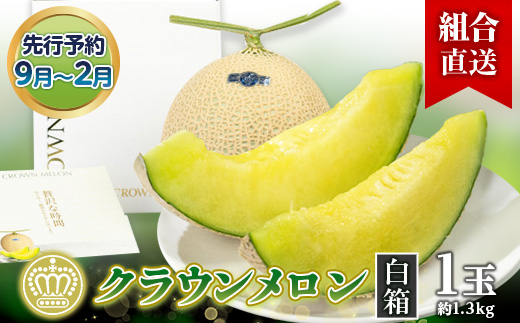 yÉ|szgÉւ鉷uNEv1(1.3kg) 9`2y1671477z