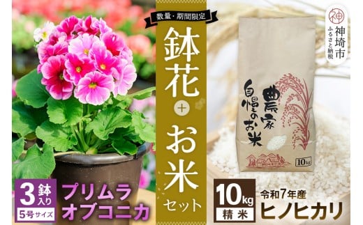 yꌧ_szyst17蔭 ʁEԌz vEIuRjJ 5×3{qmqJ()10kgZbgyӂ邳Ɣ[ v āz(H069123)