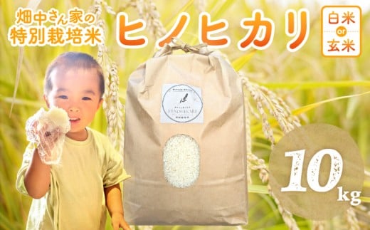 yޗǌOz񂪂蔲ĈĂ ʍ͔|āi_āj Ђ̂Ђ     10s ޗǌ O qmqJF