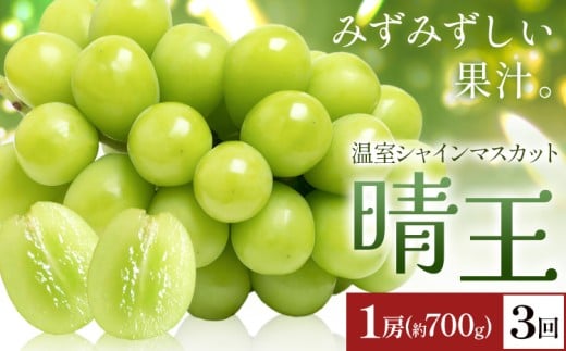 yRszy2026Ns\zVC}XJbg   1[(700g) 3񂨓͂ VC }XJbgs2026N7{-9{oׁtTʁ@(RsX(xmH