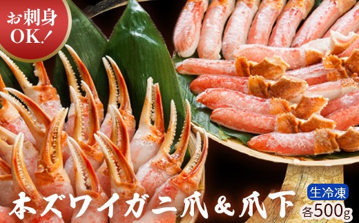 ykCzhgOKIⓀ {YCKj܁܉ e500giHjy0304101z