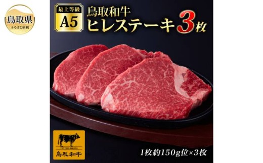 y挧zE25-017 ŏ㓙A5N aqXe[L@i3j