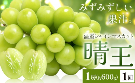 yRszy2026Ns\zVC}XJbg   1[(600g) 1񂨓͂ VC }XJbgs2026N7{-8{oׁtTʁ@(RsX(xmH