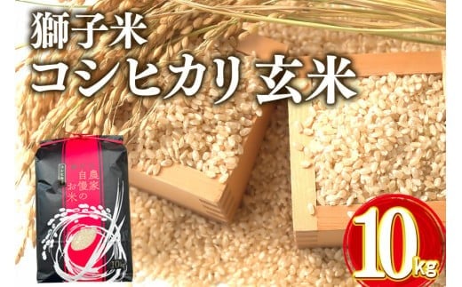 y錧Ήszyߘa7NYzq RVqJ  10kg ct@[ ReXgܕ    uh Ђ 10L Y Pꌴ R    錧Y