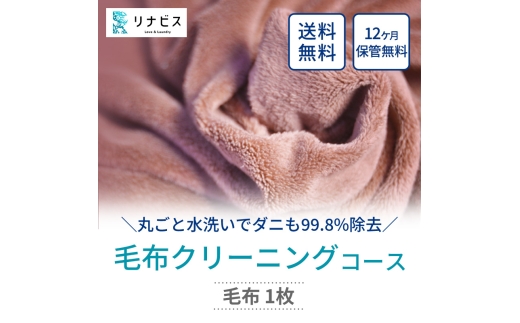 yɌLszyӂ邳Ɣ[ŁzzN[jÕirX ѕzN[jO N[| ѕz 1 / N[jO ۊ z ő12ۊ ې  ӂӂ ӂ G