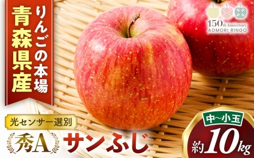 yXO˒zXY ZT[IʃTӂ G`i 10kgi` 32~40ʁj@ Y t[c ʕ ь S Tӂ   VN X O˒ AS-25-012