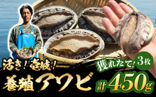 y茧szY{BAr IIAr v450gi150g×3jsstyZgYzAr  {B L CY  L Yn hg ① [JDQ008]