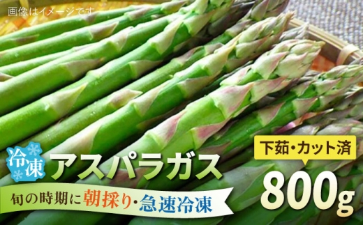 yszAXpKX 800g Ⓚ Jbgς {̎ɋ}Ⓚ yYz s / I[KjbNiK~ct@[  AXp [AGE050]